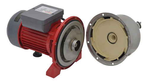 Bomba De Agua Autoaspirante Eletrica Bb500ai 0,5cv Bivolt Cor Vermelho