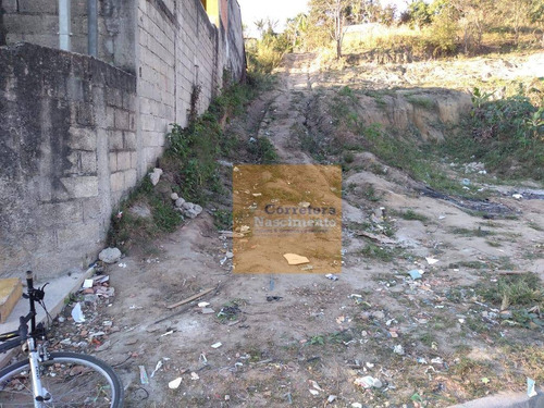 Imagem 4 de 6 de Ótimo Terreno À Venda, Para Aquisição E Construção, 191 M² Por R$ 67.000 - Chácaras Reunidas Igarapés - Jacareí/sp - Te0510