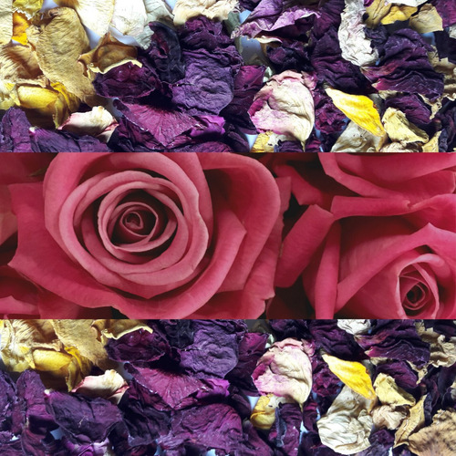Flores De Rosas Secas 47 Kg.