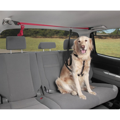 Correa Perro Para Auto - Petsafe Zupzip Zipline