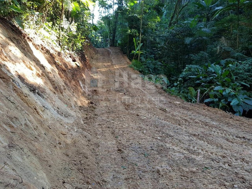 Imagem 9 de 11 de Terreno Para Chácara À Venda Em Brusque/sc - 960c