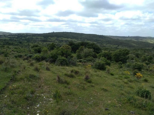 Campo En Venta