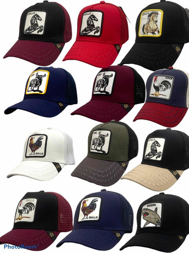 Imagen 10 de 10 de Gorras De Animales Tipo Goorin Bros Lote 12 Pz Play New York