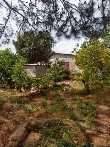 Chácara Com Casa Poço Frutas