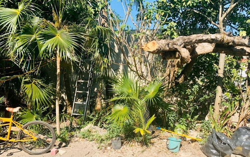Imagen 4 de 8 de Terreno En Venta Cercano A La Playa Punta Esmeralda En Playa Del Carmen