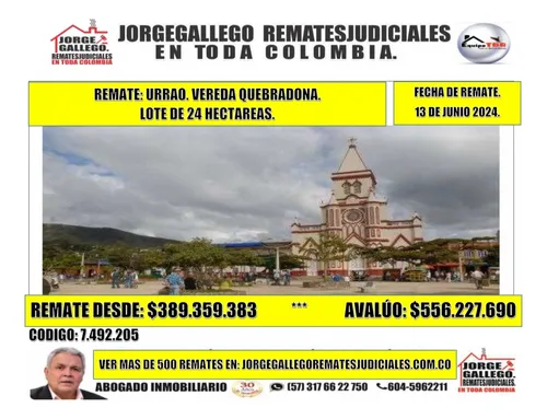 Remate: Urrao. Vereda Quebradona. Lote De 24 Hectareas.