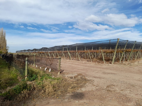 Imagen 3 de 8 de Finca De 25 Has. En Barrancas