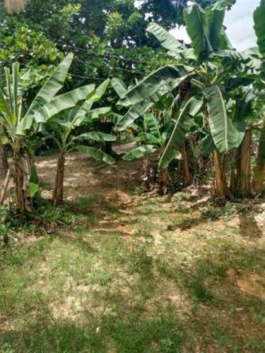 Imagem 13 de 14 de Chácara Em Itariri Com 12.000 M². À Venda | 7241