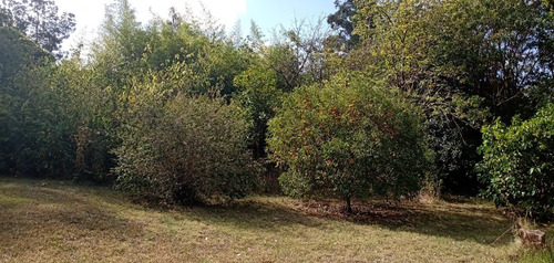 Imagen 16 de 28 de Casa Quinta En Sierras De Los Padres