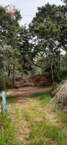 Excelente Imóvel, Todo Arborizado, Fácil Acesso, Pomar, Internet À Venda, 4693 M² Por R$ 300.000 - Pedra Bela/sp - Ch0761