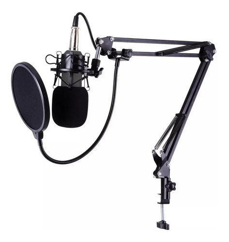 Microfone Estúdio Bm800 + Aranha + Braço + Pop Filter