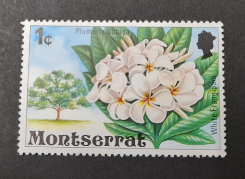 Sello Postal - Monserrat - 1976 Arboles Florales