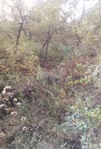 Rancho En Venta Ubicado En Pinal De Amoles, Queretaro