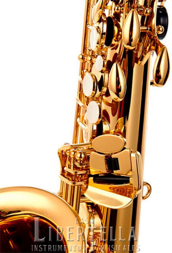 Saxo Alto Yamaha Yas-480 Yas480 Nuevo Indonesia Cuotas