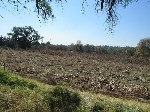 Imagen 11 de 29 de Terreno Plano En Santiago Cuautlalpan, Tepotzotlán, Estado De México