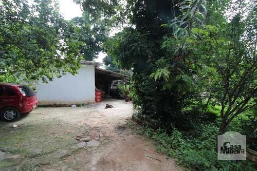 Imagem 5 de 5 de Lote À Venda No Parque São José - Código 259986 - 259986