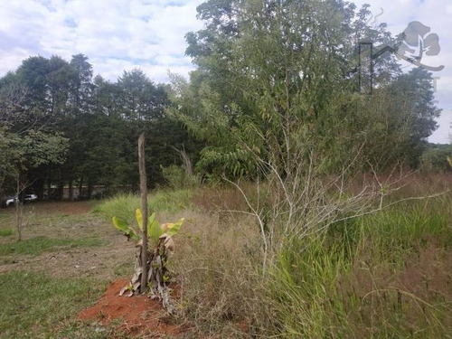 Imagem 3 de 10 de Cód 5735 - 1.374 M² De Frente Para O Asfalto Com Água Da Sab - 5735