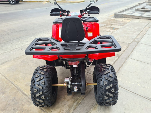 Imagen 4 de 16 de Cuatrimoto Braves 200 , 12hp, Automatic Pantalla Digt 2022