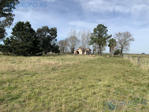 Imagen 12 de 25 de Excelente Campo Agricola De 62,73 Has.