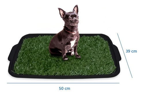 Bandeja Sanitaria Alfombra Baño Perros Tricapa 39x50