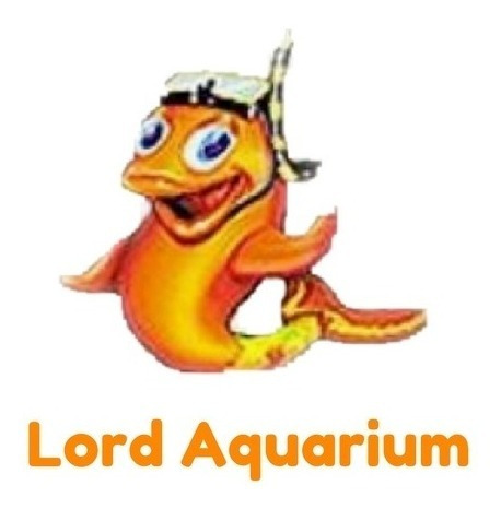 Imagem 4 de 4 de Suplemento Red Sea No3:po4-x 1l Reduz Nitrato E Po4 Nopox
