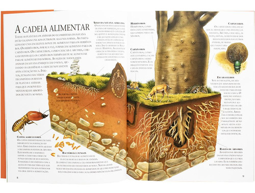 Lar Dos Animais - Savanas Africanas, De Longman, Christina. Editorial Todolivro, Tapa Mole, Edición 1 En Português, 2024