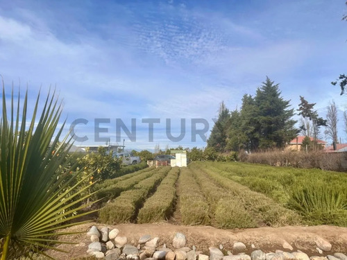 Inversión Agroindustrial Lista Para Operar | 1 Hectárea T...