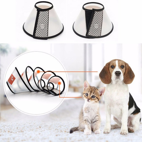 Imagen 1 de 10 de Collar Isabelino Para Mascota
