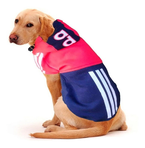 Imagen 8 de 10 de Buzos Abrigo Ropa Perros Grandes Coleccion Clima Frio Cool*