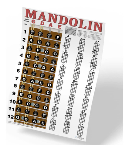Mandolin Classic Style Easy Chord & Fretboard - Póster Ins.