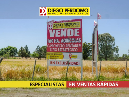 Campo De 160has Agrícolas En Venta, San José