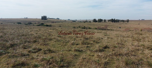 Imagen 10 de 23 de Venta De Chacra 19 Has En San Carlos, Maldonado