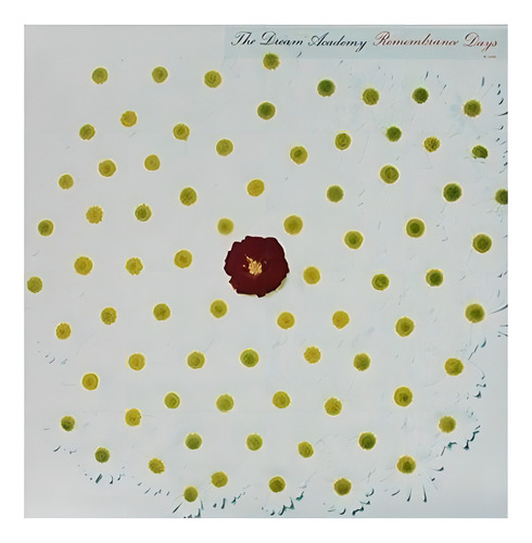 The Dream Academy Remembrance Days Vinilo Nuevo Importado