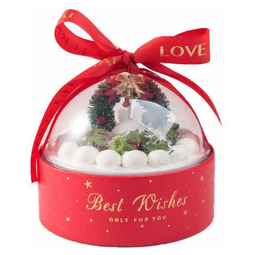 Envases Para Regalos Best Wishes Con Lazo