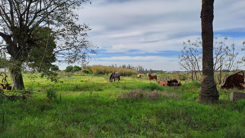 Vendo Campo 200 Mts De Frente Ruta 1