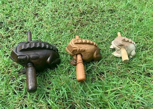 Instrumentos De Percusión Güiros Rana De Madera Juego...