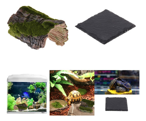 Acuario Adorno Del De Peces Ocultar Cueva Con Tortuga