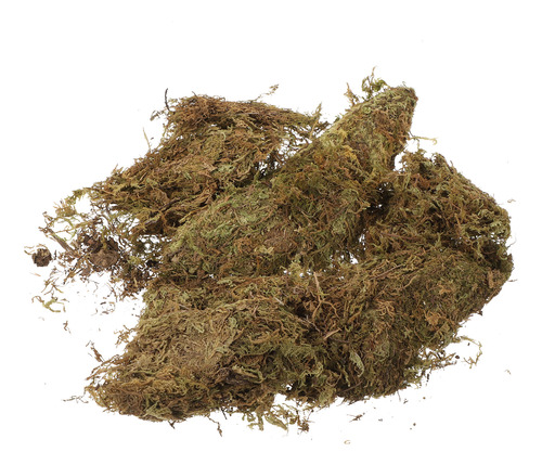 Musgo Seco Moss Habitat, 2 Paquetes