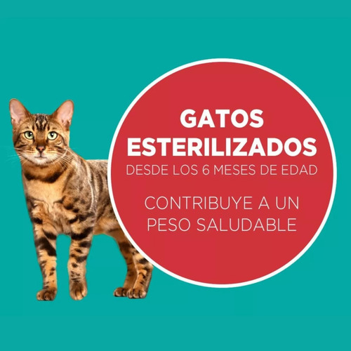 Alimento Para Gato Purina One® Esterilizado Pollo Salmon 6kg
