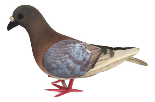 Simulación Pigeon Modelo De Imitación Pigeon Rojo Terroso