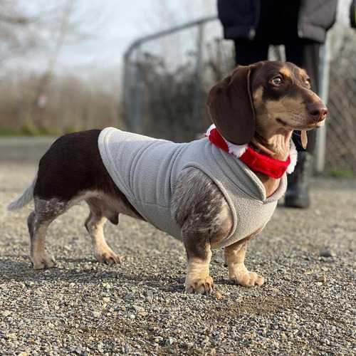 Chaqueta De Forro Polar Con Anillo Suéter Perros Pequeños