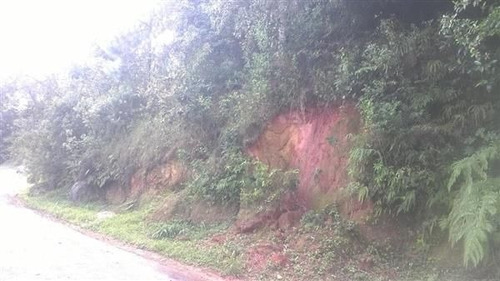 Imagem 1 de 14 de Venda Residential / Land Lot Serra Da Cantareira Mairiporã - 1734