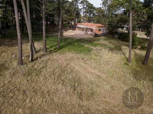 Imagen 2 de 13 de Lote En Venta - Alamos Ii - Pinamar