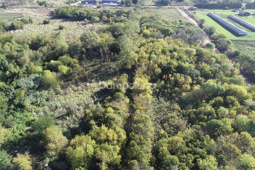 Terreno Campo En Venta En Pilar, G.b.a. Zona Norte