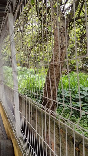 Imagem 4 de 6 de Vendo Terreno 1900 M² Macedo/ Centro De Guarulhos - Terreno A Venda No Bairro Macedo - Guarulhos, Sp - Sc01607
