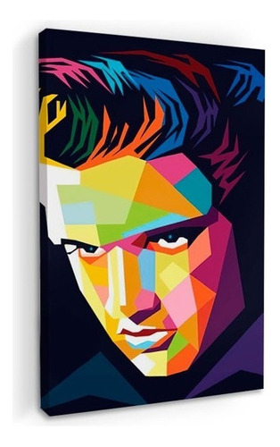 Cuadros Popart Tipo Oleo En Canvas Artistíco Color elvis-preysley2