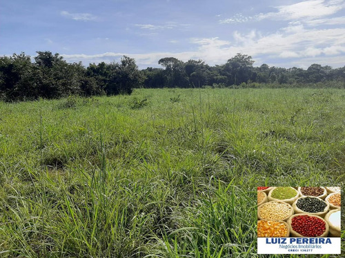 Imagem 3 de 15 de Fazenda À Venda No Vale Do Araguaia / Divinópolis - To - (dupla Aptidão) - 1705