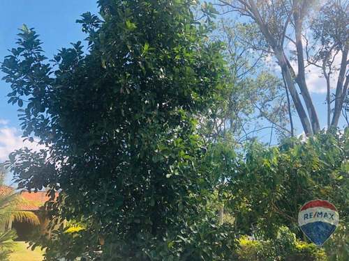 Imagem 19 de 30 de Chácara À Venda, 1000 M² Por R$ 650.000,00 - Parque Da Represa - Paulínia/sp - Ch0103