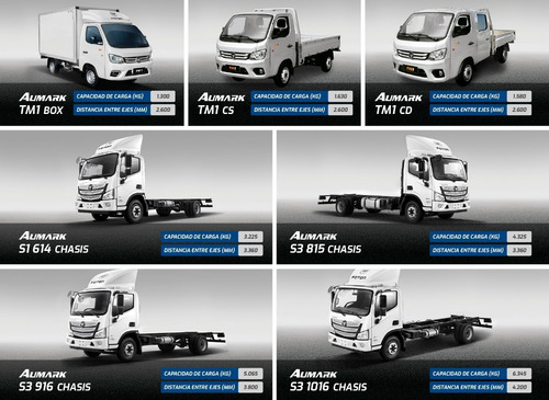 Imagen 10 de 10 de Foton Tm1 | Cabina Simple