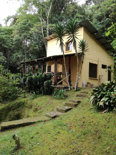 Dapa, Chicoral, 14.000 M2, Finca En Venta